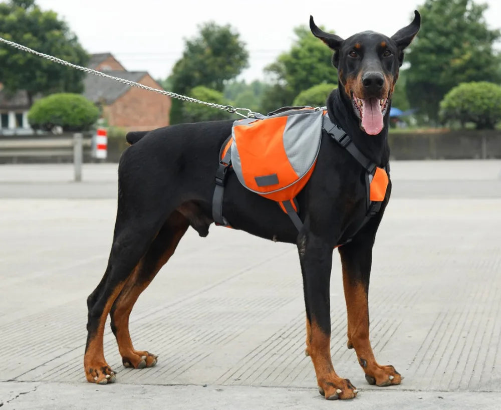 Sac à Dos de Randonnée pour Chien